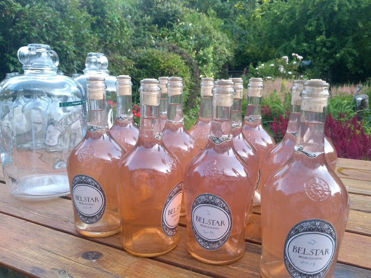 1st batch of rhubarb wine, thanks to @SHSBangor for the empty graduation bottles