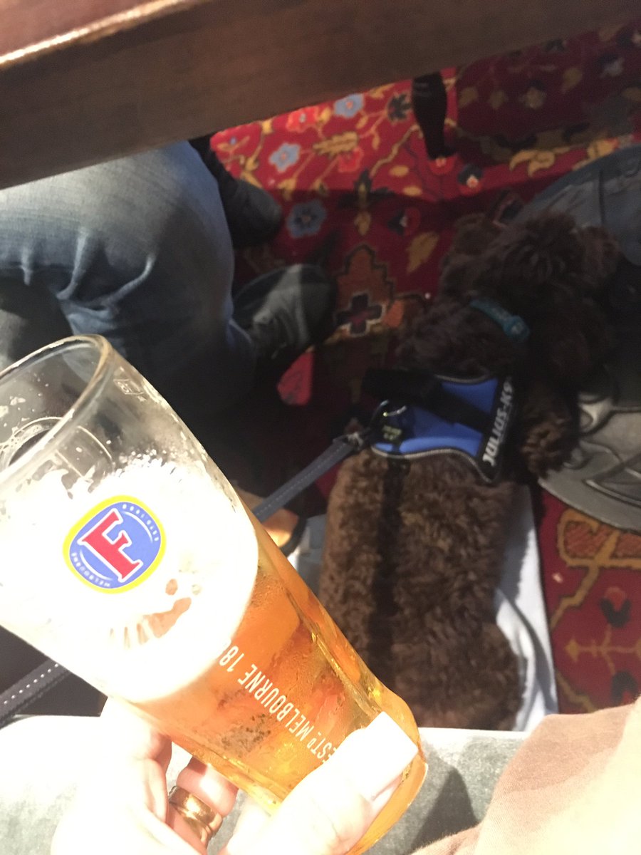 joanne_buckley7's tweet photo. While his humans have a few bevvies & some food,Mr Buckles is having a well deserved snooze ๐ด #buckles #chocolatecockapoo #weekendaway ๐ฒ๐ถ๐พ๐๐บ https://t.co/VhRsi8TLBZ