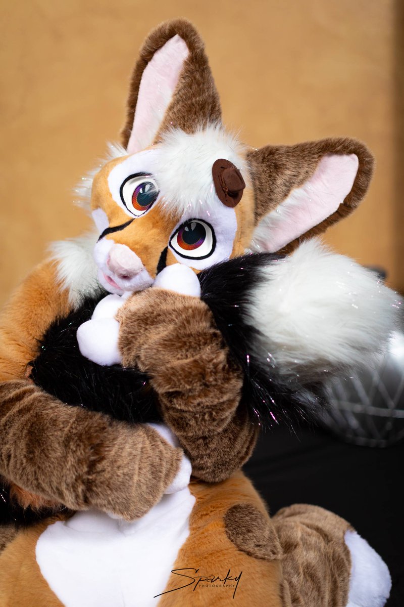 PaintedDesertFC's tweet photo. Happy #fursuit Friday everyone. We hope everyone had a wonderful and safe 4th of July and has a wonderful weekend.
@Sparkypics
#PDFC2019 https://t.co/r0kFXUOz3p