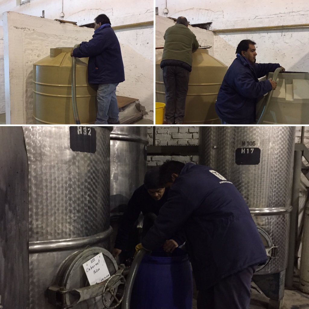 PulsoWines tweet media