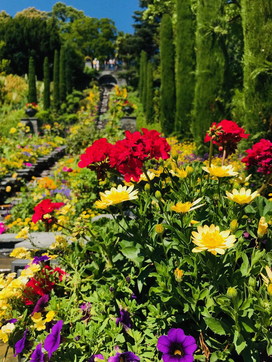 RT @poshyvailo: #LINO19 #Mainau