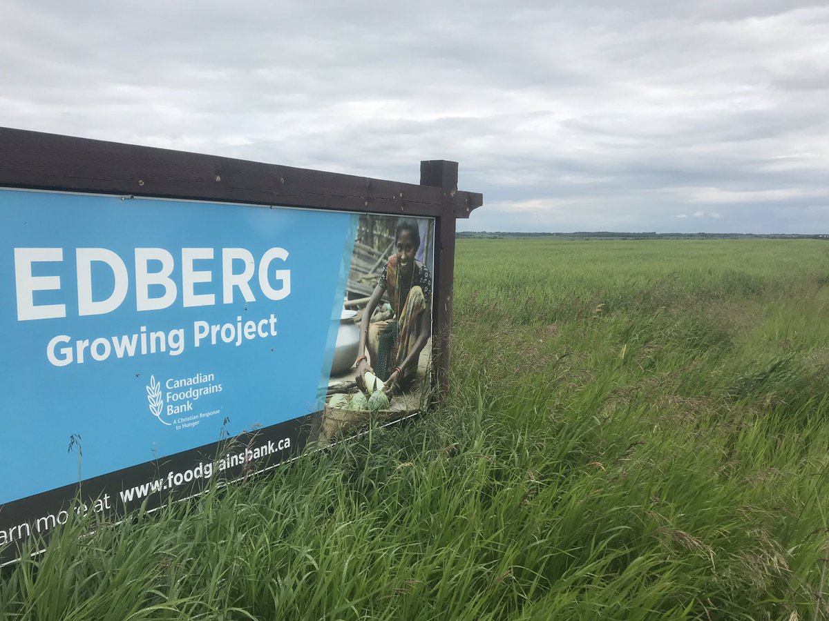 ZippyJans's tweet photo. @Cropmgmtnetwork @EdbergGP @SolickSeeds connect barley looks BIONIC! Is there any applicators who would like to spray this field with donated prosaro XTR from @Bayer4CropsCA https://t.co/SEVKf2ieyO