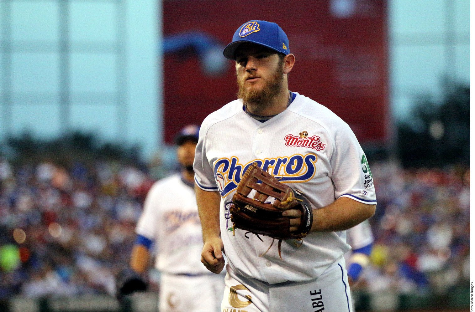 Max Muncy jugando con los Charros de Jalisco en la Liga Mexicana del Pacífico (LMP)