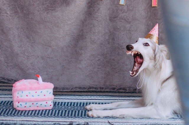  HAPPY BIRTHDAY PRINCE 