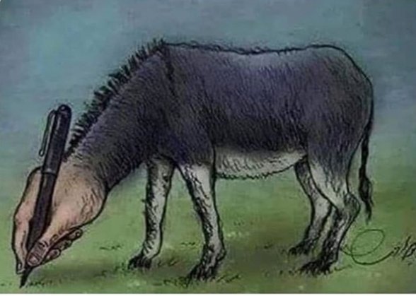 Sadece Şeyma