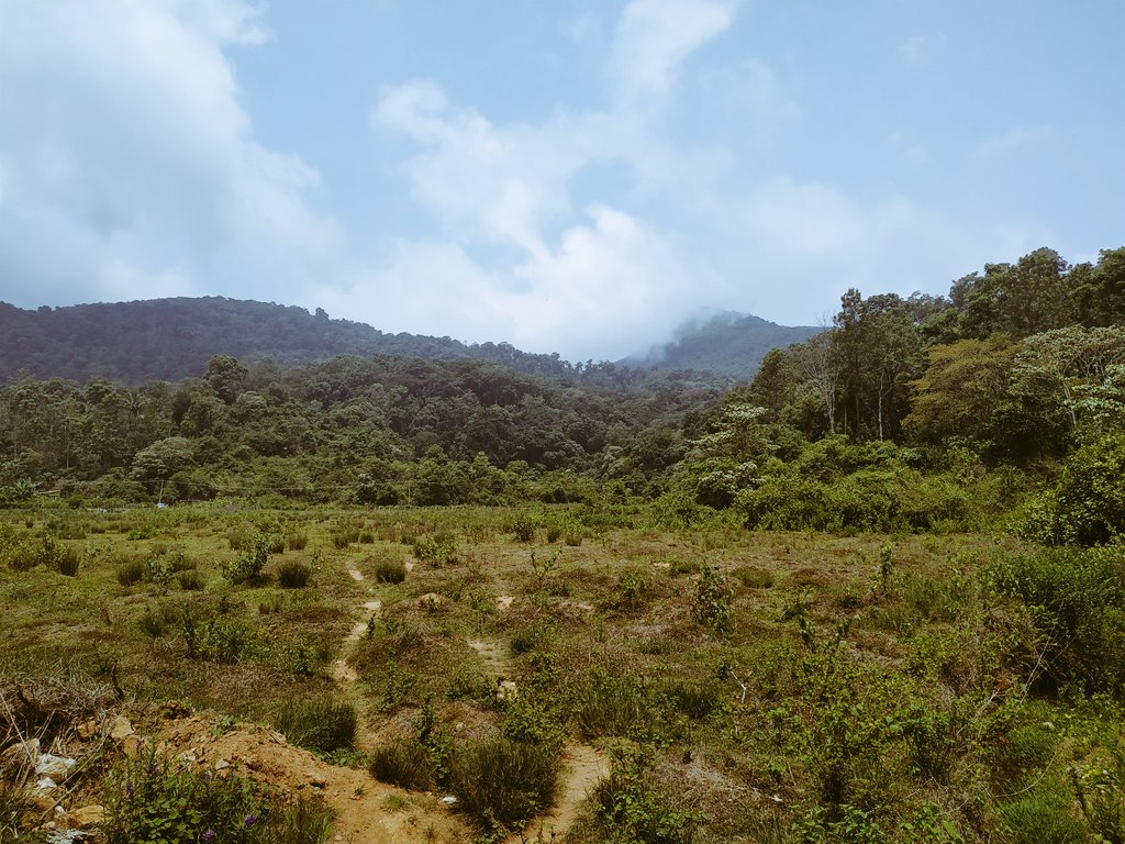 Ek_Chaise's tweet photo. Lush and slush. #coorg #instantclicks https://t.co/hzJbPHNLb1