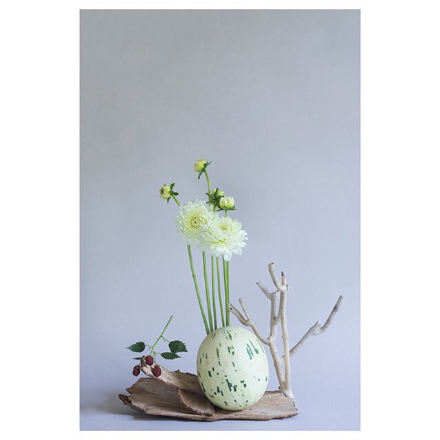 RowanSpray's tweet photo. More #flowers &amp; #fruit for @mcqueensflowers https://t.co/JFVQUrz5wG