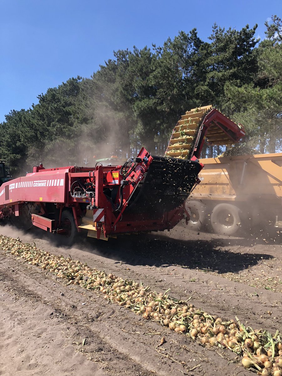 rwlservices's tweet image. Onions are go go go! Cracking crop too!
New Hedgehog conversion. @WantisdenHallFa 🦔 #byeengineering