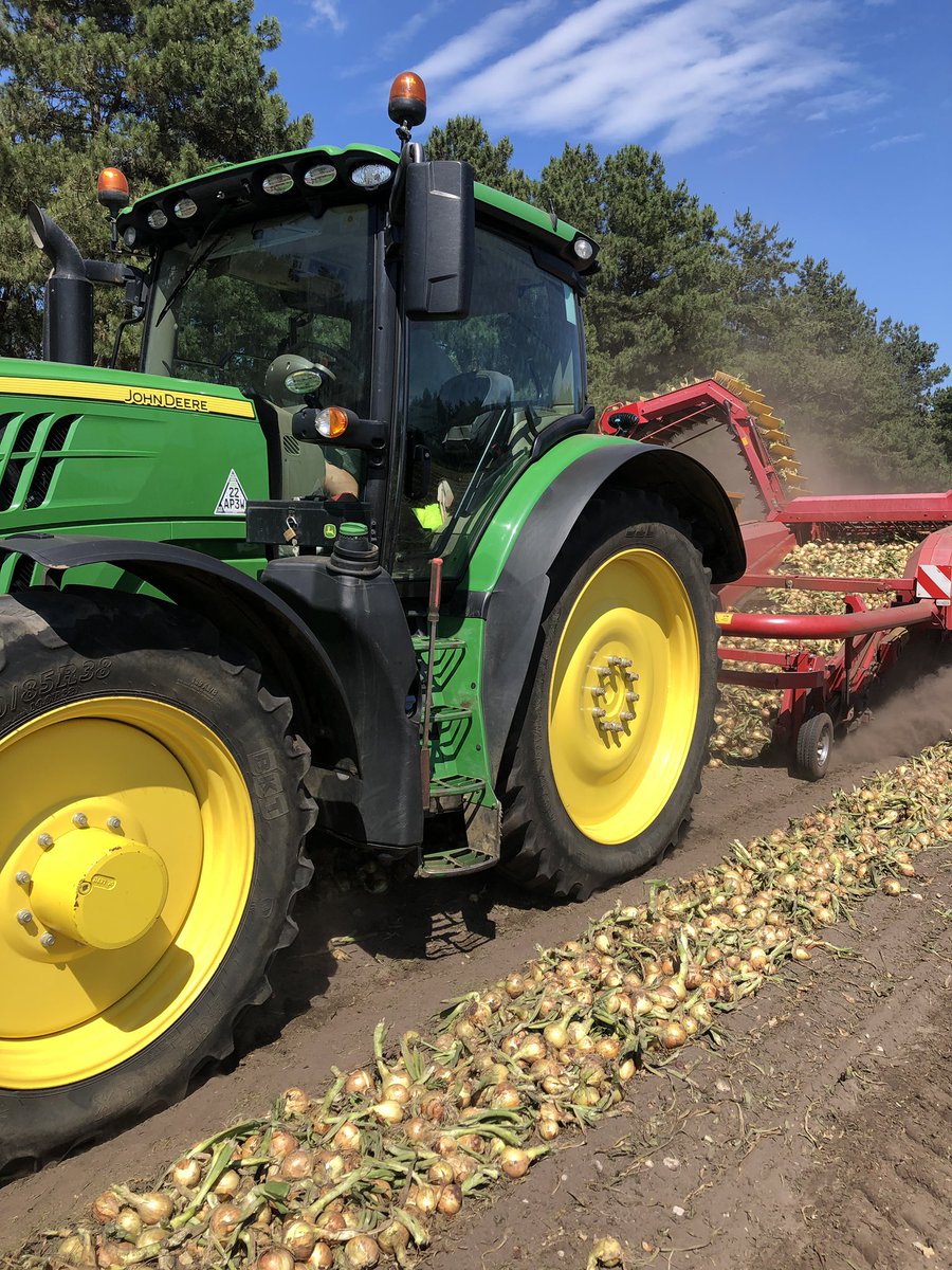 rwlservices's tweet image. Onions are go go go! Cracking crop too!
New Hedgehog conversion. @WantisdenHallFa 🦔 #byeengineering