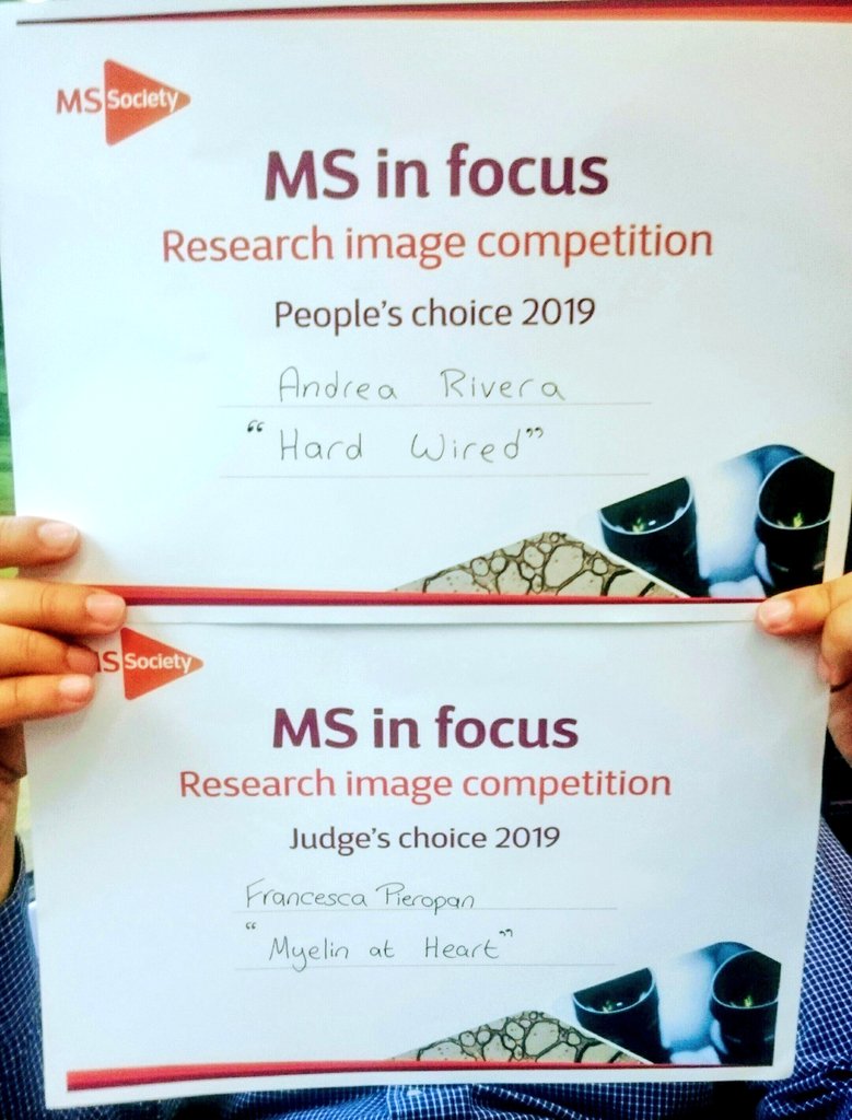 ResearchGlia's tweet photo. Our guys attended #MSFrontiers2019 and entered the MS in Focus competition.We are glad to report that their pictures were the public's and the judges' favourites!Congrats @AndreaDomRivera @fpieropan! #MSResearchers #SciArt #UoP @UoP_PharmacyBMS @UoP_IBBS @ButtArthur1 @UoPScience https://t.co/Duuff117DJ