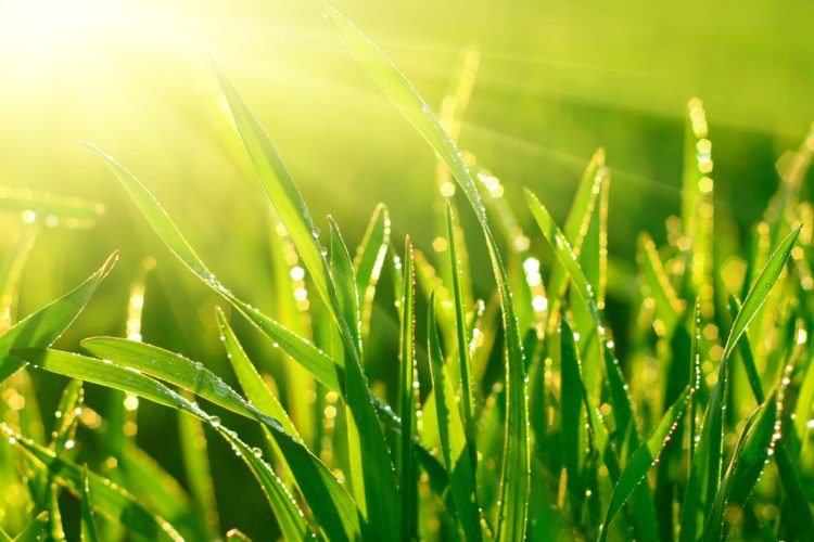 Foto aquí con mis hermanos.
Nos acaban de cortar. ¿Les gusta como nos vemos?