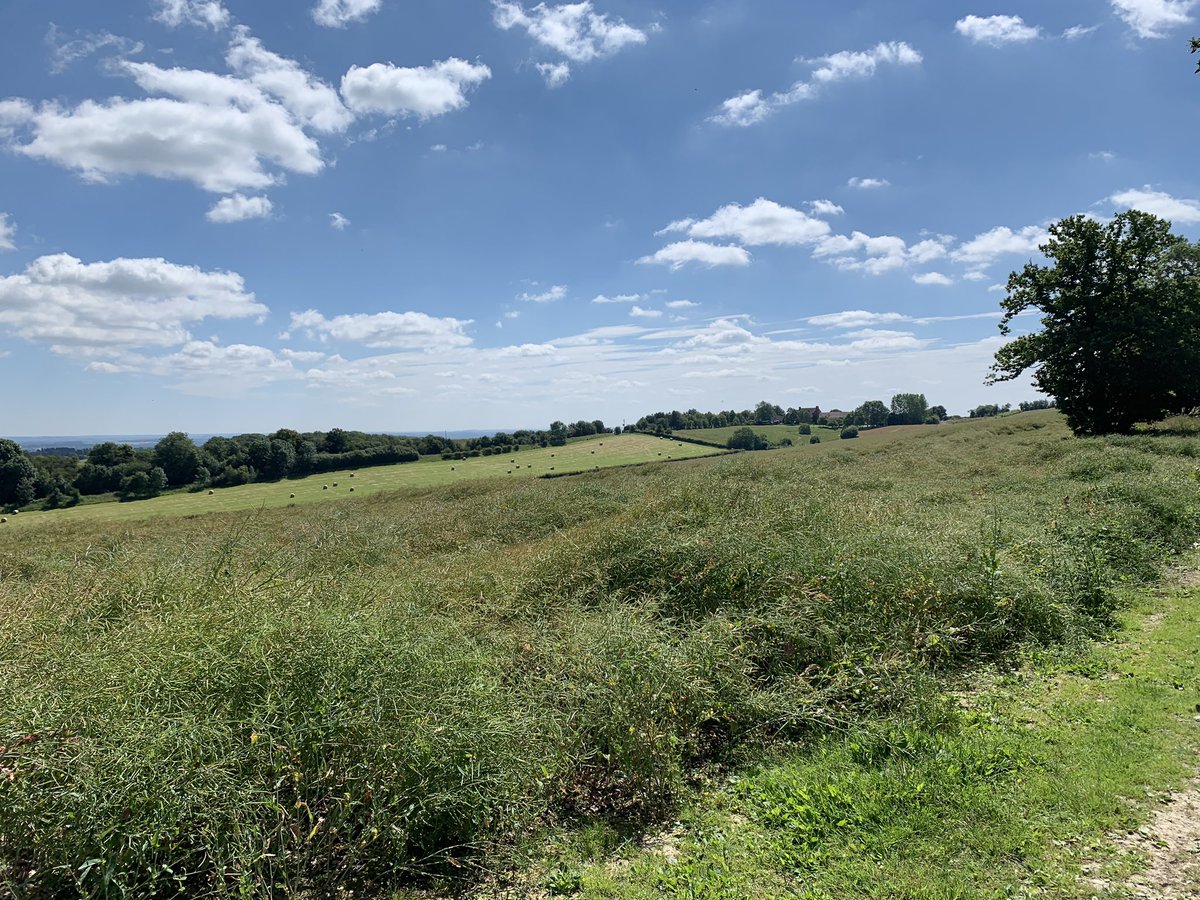 Alexgilliambf's tweet photo. Cracking day walking the Worcestershire Way for @StRichardsHosp.  32 miles and 14 hours later we made it in! #WWWBF100miles https://t.co/JcdaULQjRD