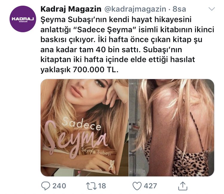 Schopenhauer haklıymış.

Ahmaklar için kitap yazanlar her zaman geniş bir dinleyici kitlesi bulurlar.