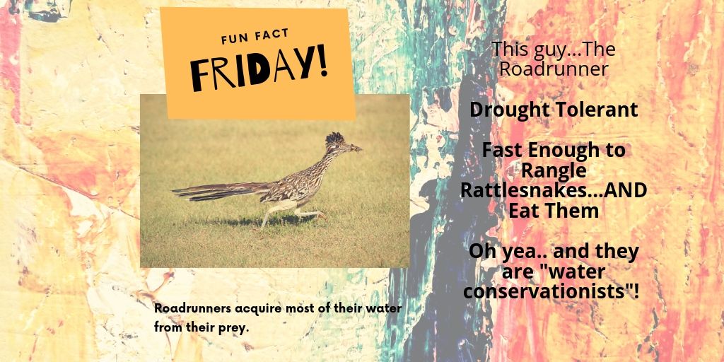 middletrinity's tweet photo. Did you know?? https://t.co/KMJ4bU9TUQ