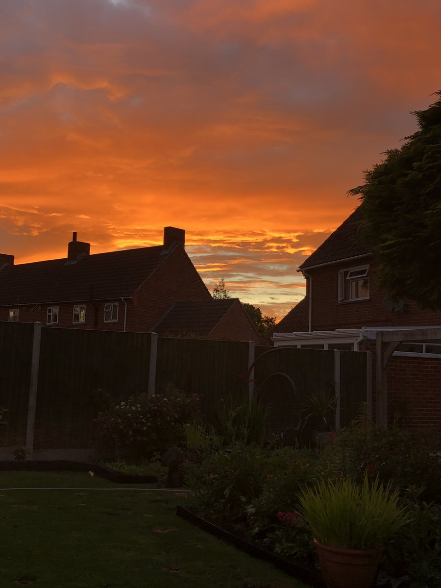 countrytottie8's tweet image. #summerview #shepardsdelight #beauitiful #imsolucky #summergardendays