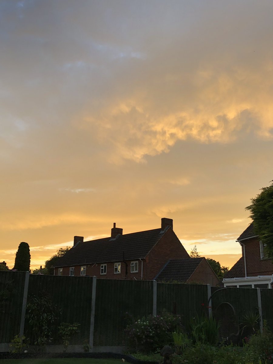 countrytottie8's tweet image. #summerview #shepardsdelight #beauitiful #imsolucky #summergardendays