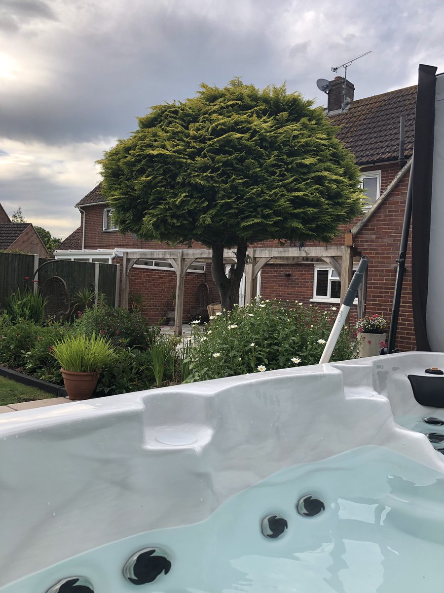 countrytottie8's tweet image. #summerview #shepardsdelight #beauitiful #imsolucky #summergardendays