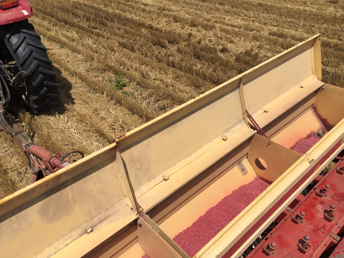 Nothing like riding a bean drill when it’s 90 degrees outside 🥵 but the good thing is, #plant19 officially wrapped up this week at #KYPFR