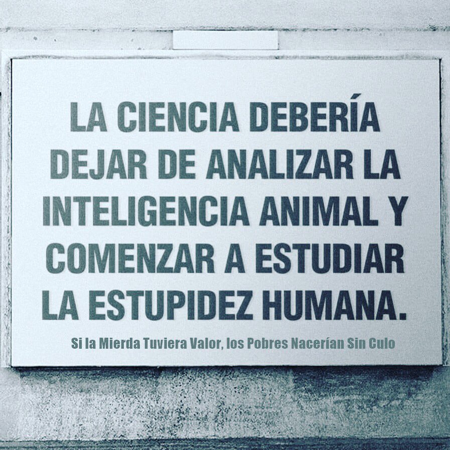 estaentumente's tweet photo. #superacionpersonal #felicidad #viviralmaximo #mente #mentepositiva #mentesana #tusipuedes #feliz #mentepositiva #animo #superate #vivirfeliz #pensamientos #positivismo #medita #elpoderdelahora #mentesana #felicidad #ceo https://t.co/n6KSdyBzqp