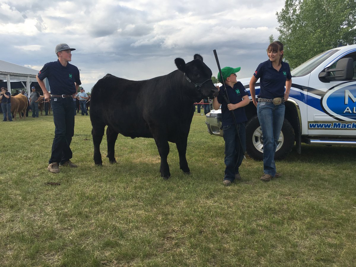 'Higher the price would go, the better it would be': Estevan boy raises thousands for Jim Pattison Children’s Hospital in charity steer auction - beta.ctvnews.ca/local/regina/f… #Sask #sk #yqr