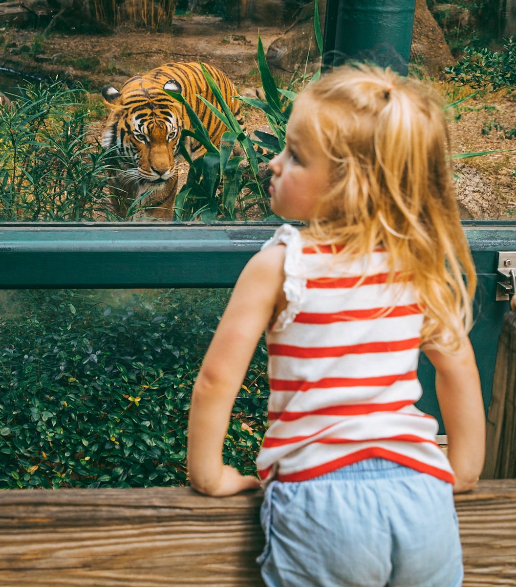 AdamBuzz's tweet photo. Not sure you know what you would be getting yourself into Mr. Tiger.  This little girl is a force to be reckoned with.  #RileyPaige #outdaughtered #itsabuzzworld https://t.co/IQxdisVnli