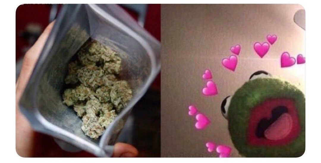TurritosDeAmor's tweet image. Cómo la weed me ve // cómo yo veo a la weed
