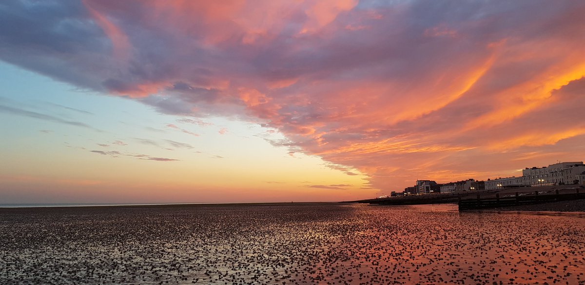 GailOnSea's tweet photo. I went for a walk along the beach @CSSC_Official #ActiveWellbeingWeek
Ever heard of #Secondsunset?
It's the burst of light that fills the sky&clouds w/vibrant&warm colors after the sun sets below the horizon,15 minutes after #sunset 💛
Enjoy!
#beachlife
#walking
#mentalhealth https://t.co/M8GzNVeDPx