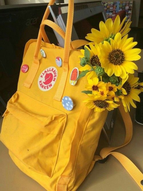 ThreadsMoney's tweet image. 𝙲𝚞𝚝𝚎 𝚆𝚊𝚕𝚕𝚙𝚊𝚙𝚎𝚛𝚜 𝚙𝚝. 𝟷