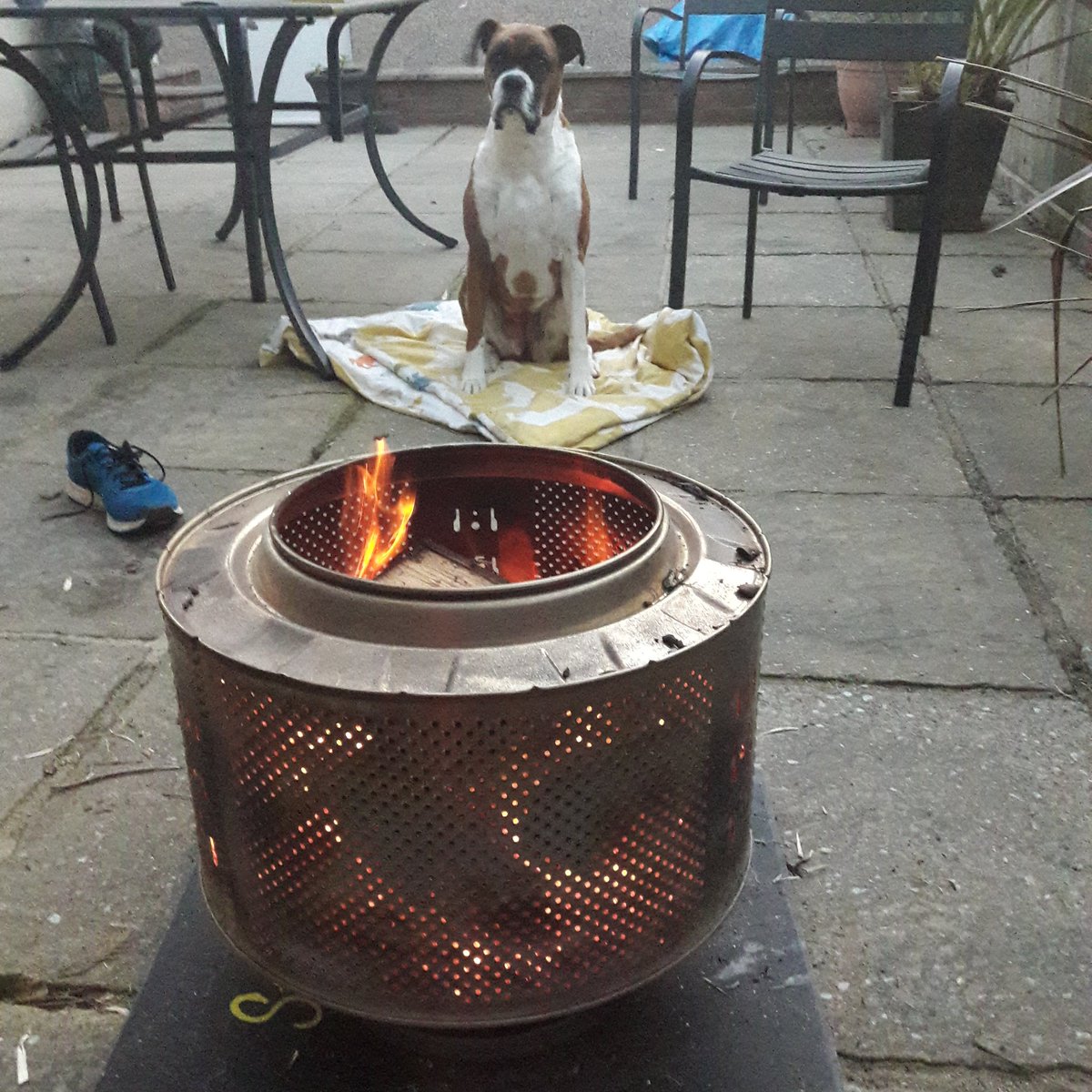 IanBell0512's tweet photo. First fire Pit #washingmachinedrumfirepit #FridayFeeling #weekend @dogcelebration @BoxerDogUnion https://t.co/xzuxuMDPhs