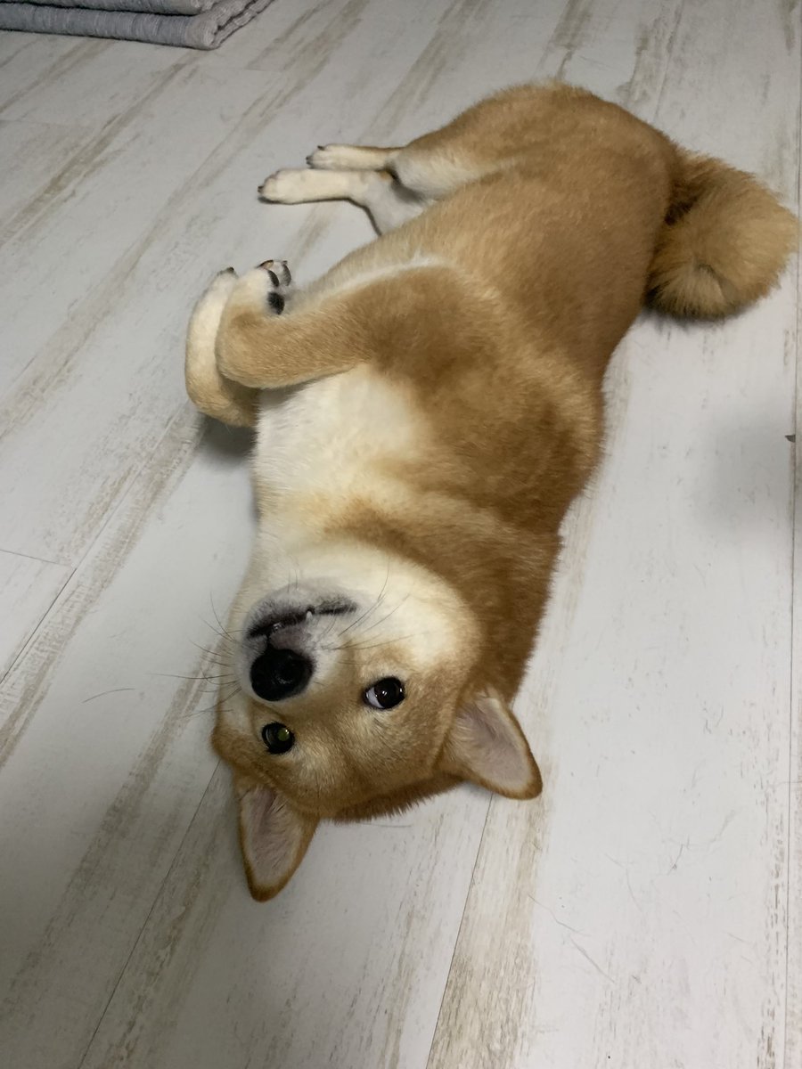 빵 좀 그만시켜🥴