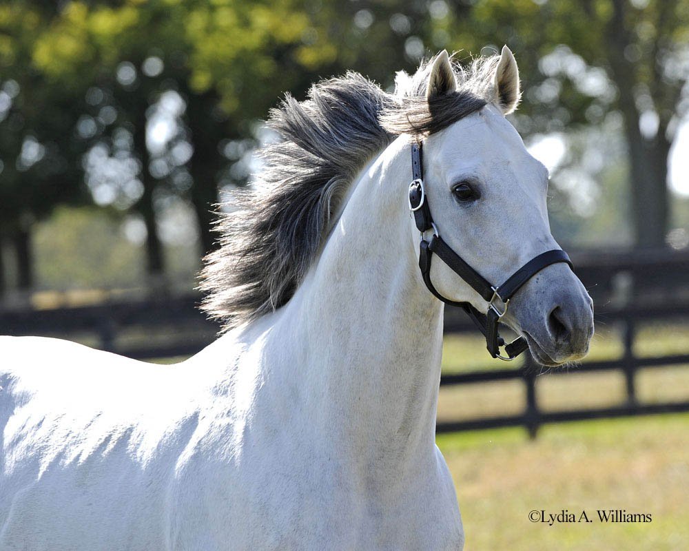 Jubacolt's tweet photo. @LindaC2010 I'll give you the Kentucky part but we all know who is for world... #SexyJuba . 😁 https://t.co/sUjuB4mKH3