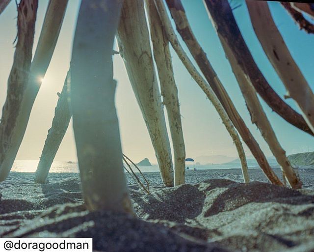 Thanks to @doragoodman for the opportunity to participate in this awesome project.  Check out her feed for more pictures from my take on the Goodman Zone camera.
.
.
.
.
#doragoodmancameras #doragoodman #goodmanzone #camera #impression3D #diy #opensource… ift.tt/2JdLliC