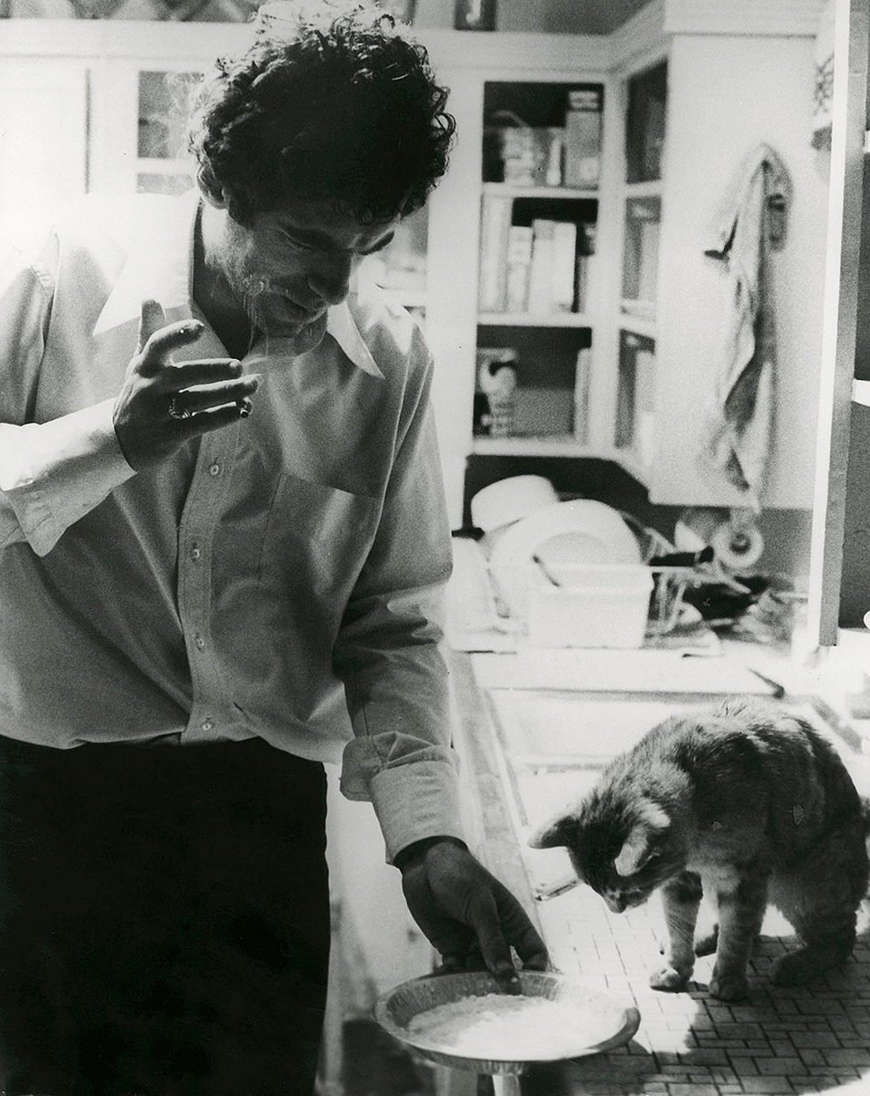 'And I loved working with the cat — actually two cats.'