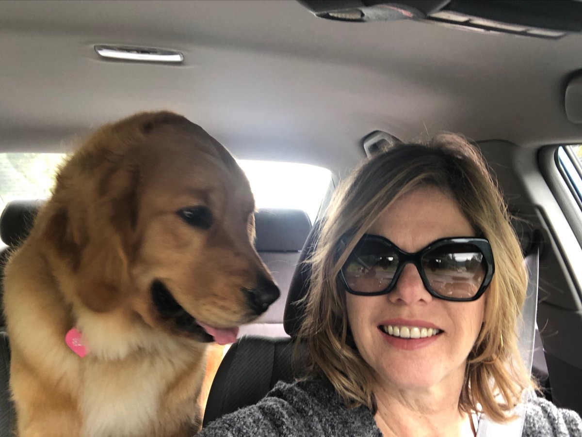 Betty ‘rides shotgun’! #dogdaysofsummer