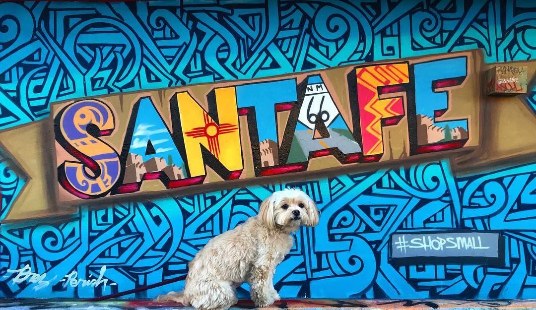 RT @BringFido 'So much to do, so much to see, so much to sniff on a dog-friendly weekend in Santa Fe.
@CityofSantaFe @PoochPantry @noisywaterwine @EldoradoHotel @BurgerStandSF @collwksbooks @sfartclasses  ' ow.ly/zfme30p6oSI