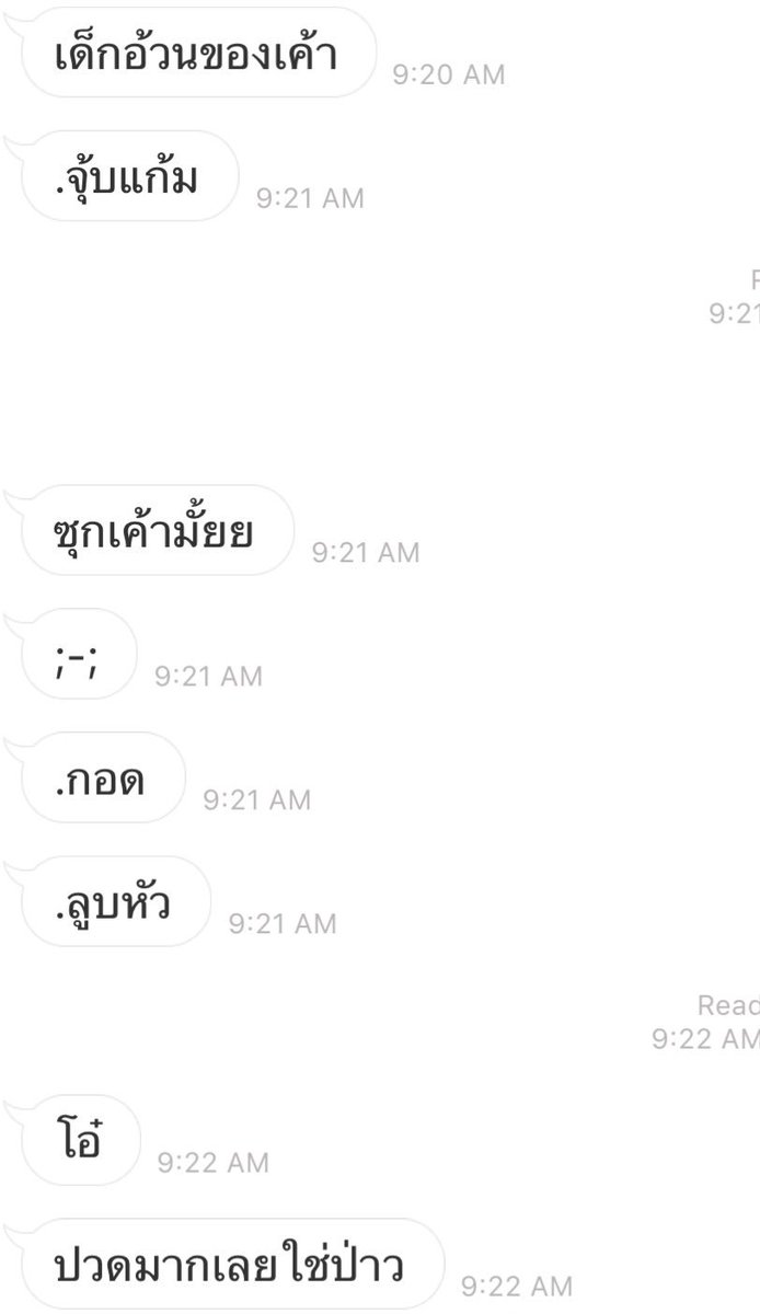 แมว tweet media