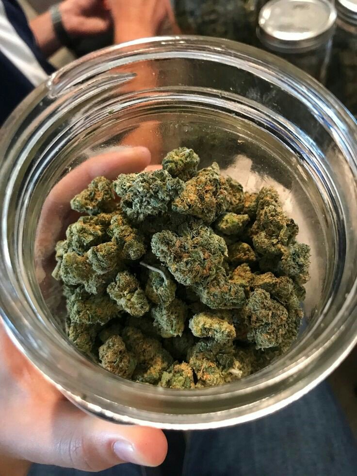 dicksonray692's tweet photo. #lodidodi #lodidodiwelikestoparty #onelitkiwi #Cannafam #cannabisfamily #stonerfamily #cannabisentertainment #cannabiscultivation #olcc #cookiesorbetter #loudweed #theclonezone #leafly #clonezone #stonerfam #stonerlifestyle #strainhunter #indoorcannabis https://t.co/RabjaSbed1