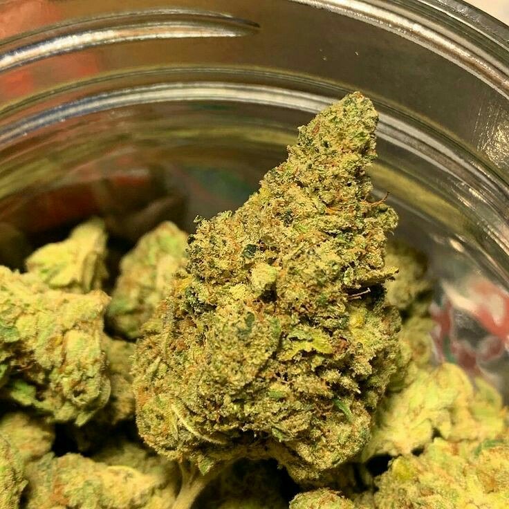 dicksonray692's tweet photo. #weedporn #dabs #loudpack #mmj #powerpack #2018 #Sacramento #fire #topshop #gelato #gushers #nofilter #sf #la #nyc #potheadsociety #igers #igdaily #wedontsmokethesame 
#sherbinski @dankcity @weedlaughs420 #chronic #medicated #instahigh #keepitchronic #legithigh #rawlife https://t.co/wx9nnteJRl