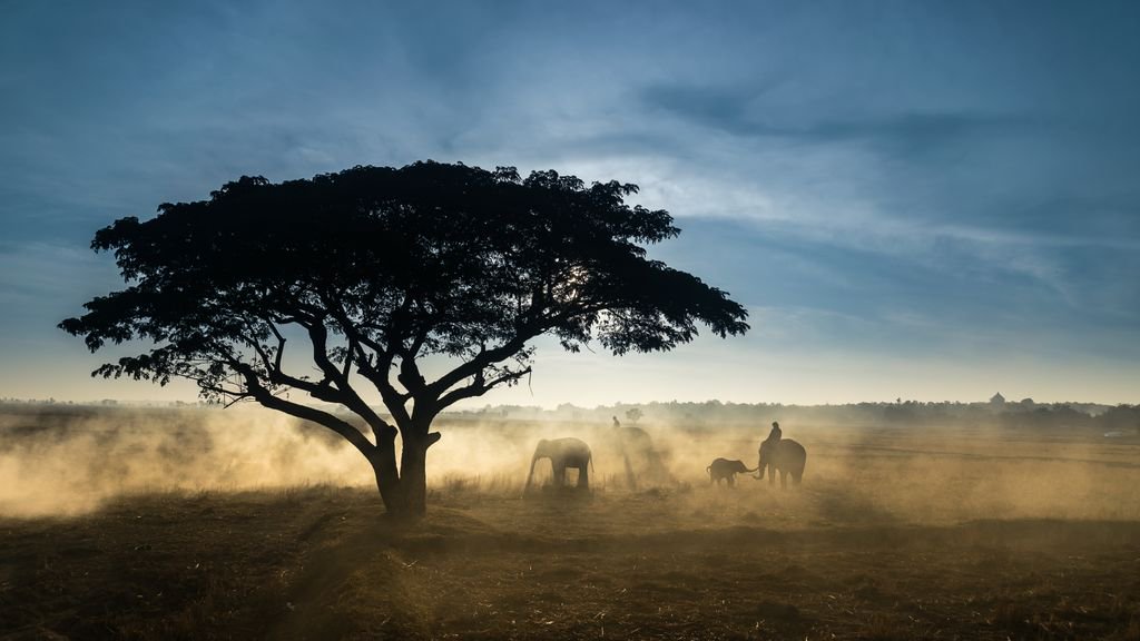 📍Kenya, Africa

#kenya #africa