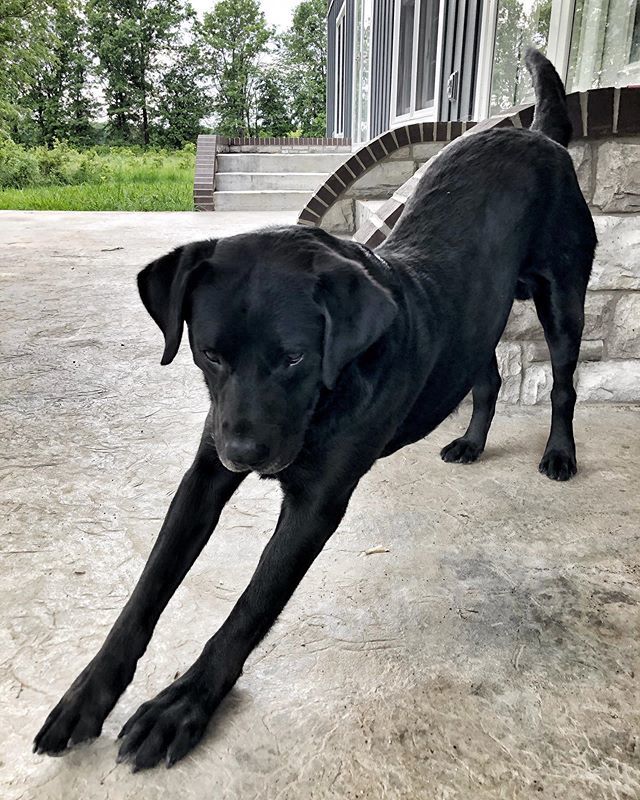 TonyVandemore's tweet photo. Enjoy the R&R bud... Your life is about to change BIG TIME. Less than a week till you have your son jumping all over you! Keeping you up at night, eating your food, crying - you got this! ๐ ๐๐ป #cabelascanines #basspropups https://t.co/xM9PDy7x4p https://t.co/zNfE3ux96n