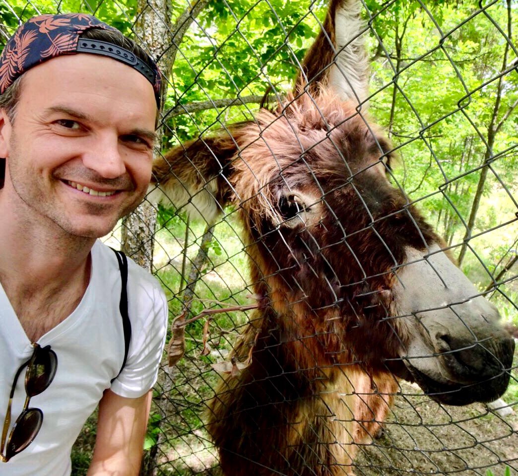 Un nuevo amigo en #sanrafael #segovia #operadogs #operadonkey