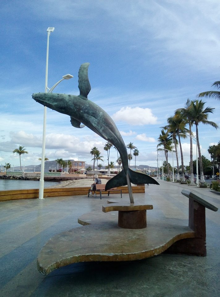 Robert Taylor (@robertt45703884) on Twitter photo 