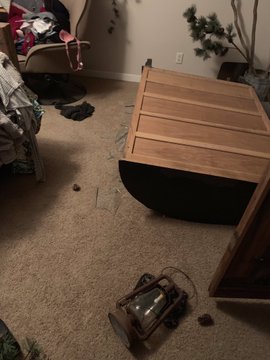 View image on Twitter