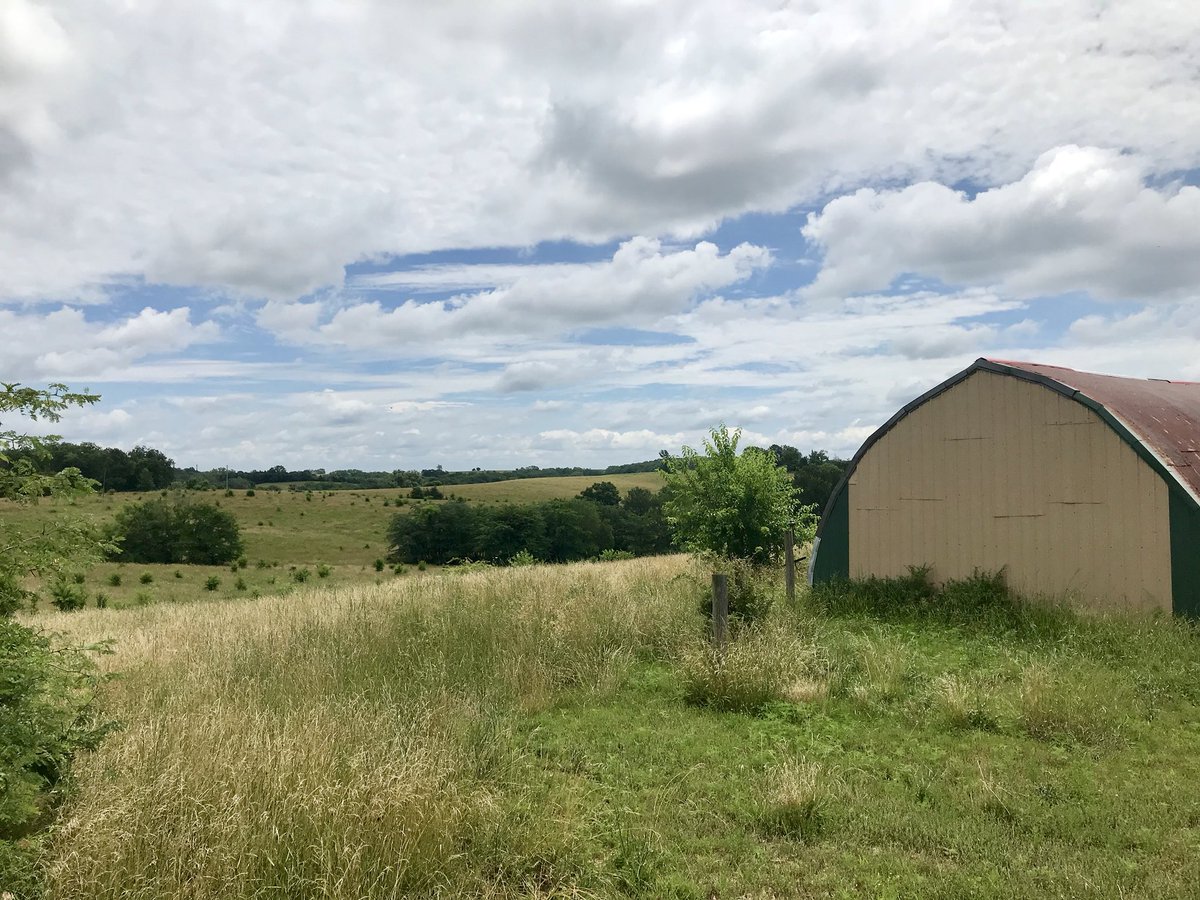 GrayFeist's tweet photo. This #farm has been in my family for 150 years. https://t.co/Gfe6JumUiO #NorthMO https://t.co/s07eNToKBy