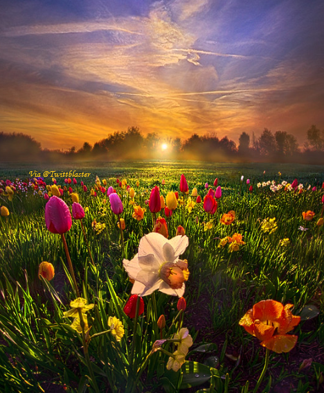 Twittblaster's tweet photo. Find new meaning in every joy and sorrow.
See another world where the end is another
beginning. ~ Rumi

#Twittblaster #Joy #Sorrow #NewBeginning #Landscape #Sunset #Sunrise #Positivity #Encouragement #Motivation https://t.co/wd0gYlNUrm