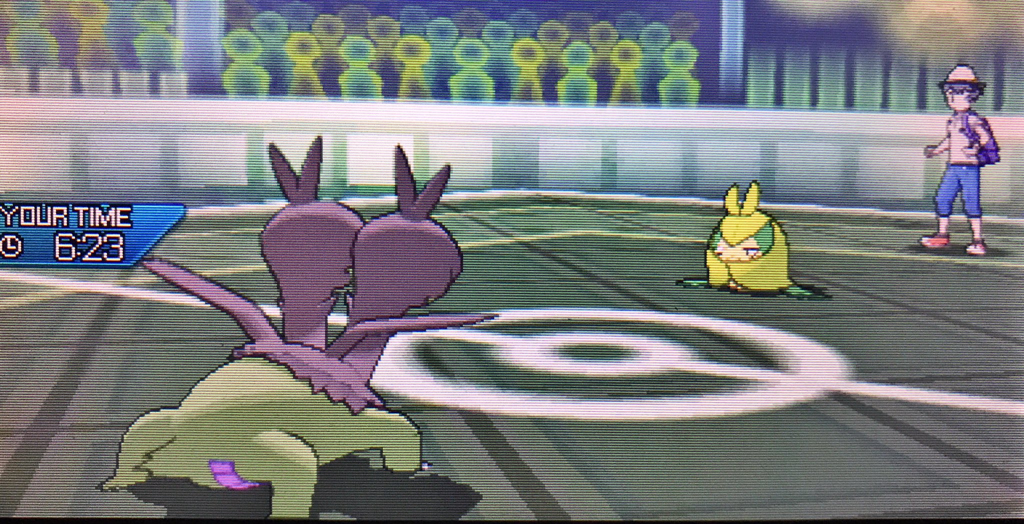 翠葉ゆゆ クルマユカップ 隙あれば宣伝 ポケモン好きさんと繋がりたい この大会は ラッキーポリ2影踏み ゴチミルを除いた中間進化のポケモンが参加出来ます 難しそうに見えるけど 対戦の時に勝手にlv50にされるから努力値振って進化させるだけで
