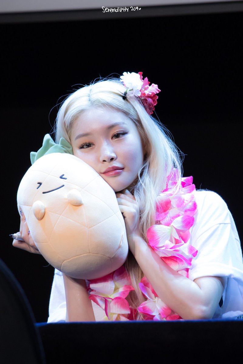 chunghadoodle's tweet photo. squishy chungha ft pineapple 🍍 https://t.co/dsix7jCKqs