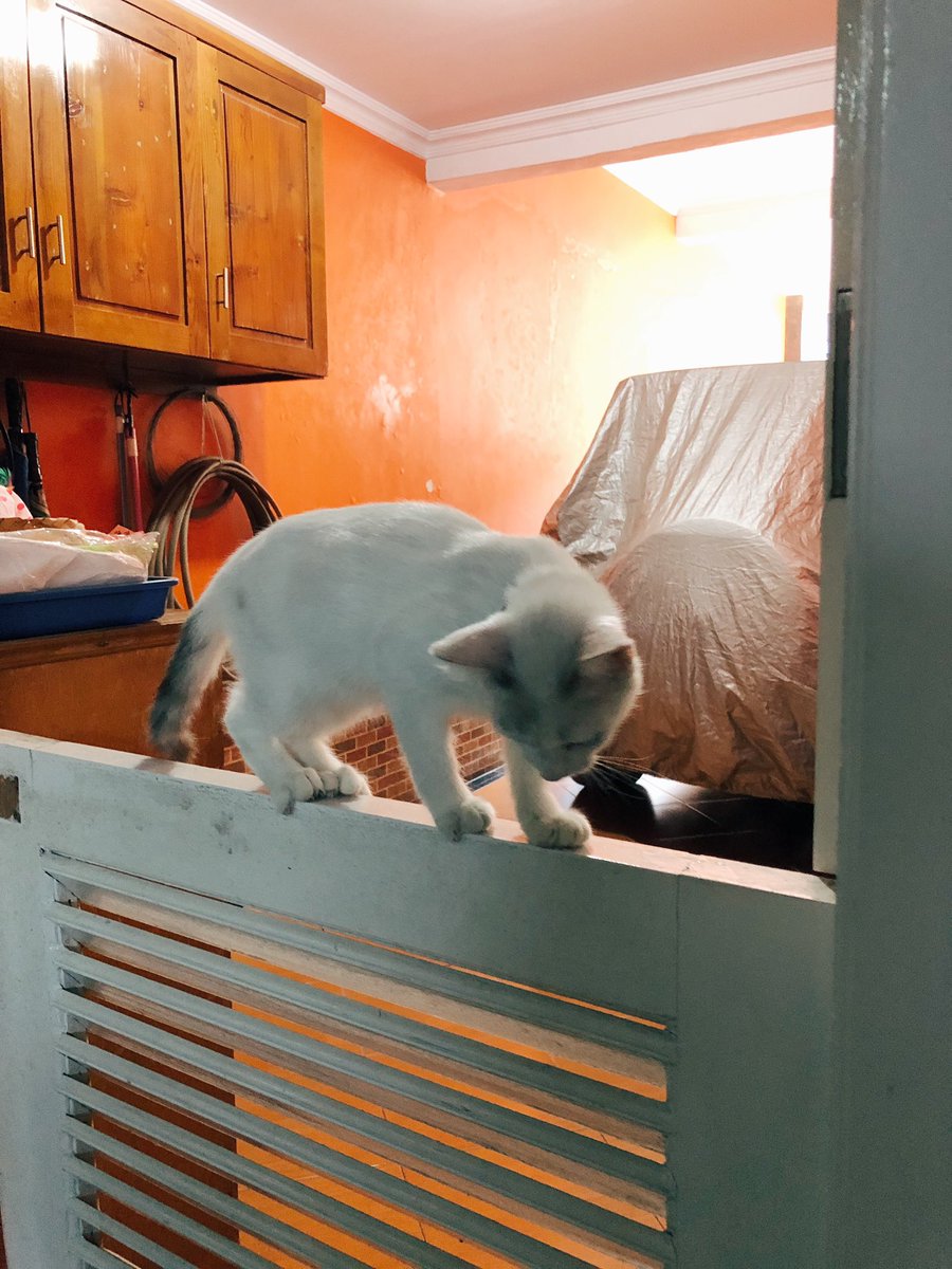 Baru ditinggal sebentar padahal 😩