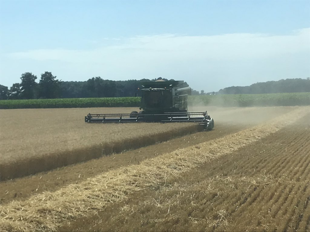 GrowNorth Ag LLC (@brandontoews89) on Twitter photo Wheat harvest is right around the corner! Contact <a href="/brandontoews89/">GrowNorth Ag LLC</a> if you need help harvesting in the central Michigan area. Retweets appreciated
989-763-0848
Brandon Toews Wheat harvest is right around the corner! Contact <a href="/brandontoews89/">GrowNorth Ag LLC</a> if you need help harvesting in the central Michigan area. Retweets appreciated
989-763-0848
Brandon Toews