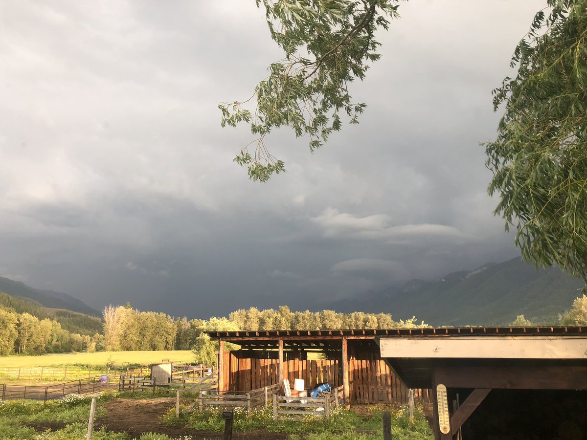 #BCstorm #fernie the storm is coming right up the valley from the South.  Lightning and thunder. Almost as good as the prairies.